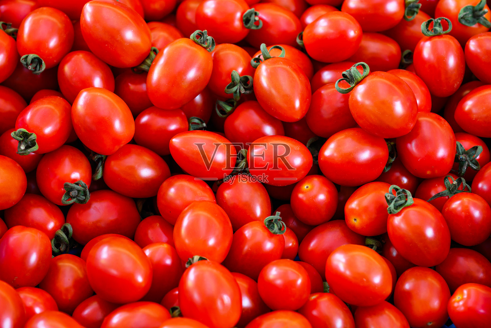 樱桃番茄照片摄影图片