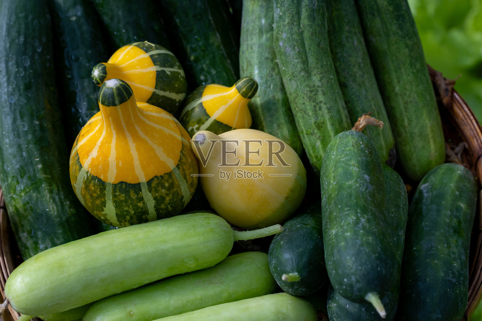 各种新鲜有机自种的传家南瓜、黄瓜和西葫芦，适合在丰收季节的农贸市场用作食材和营养用途。照片摄影图片