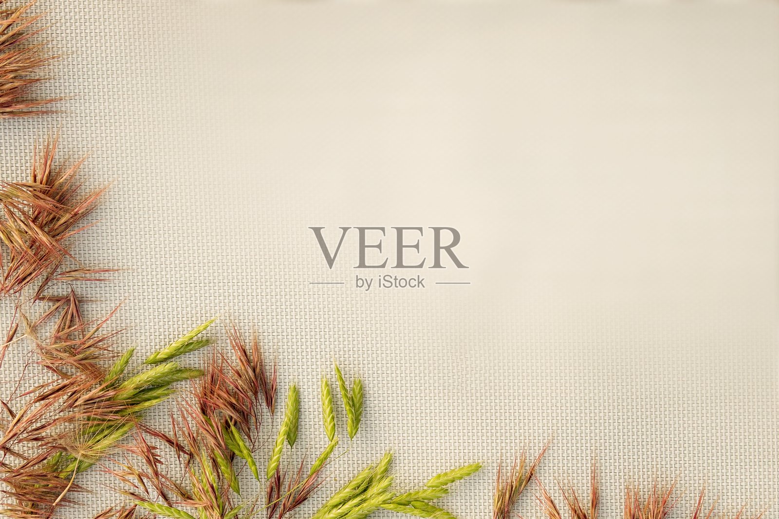 带有留白的织物背景上的装饰性草丛照片摄影图片