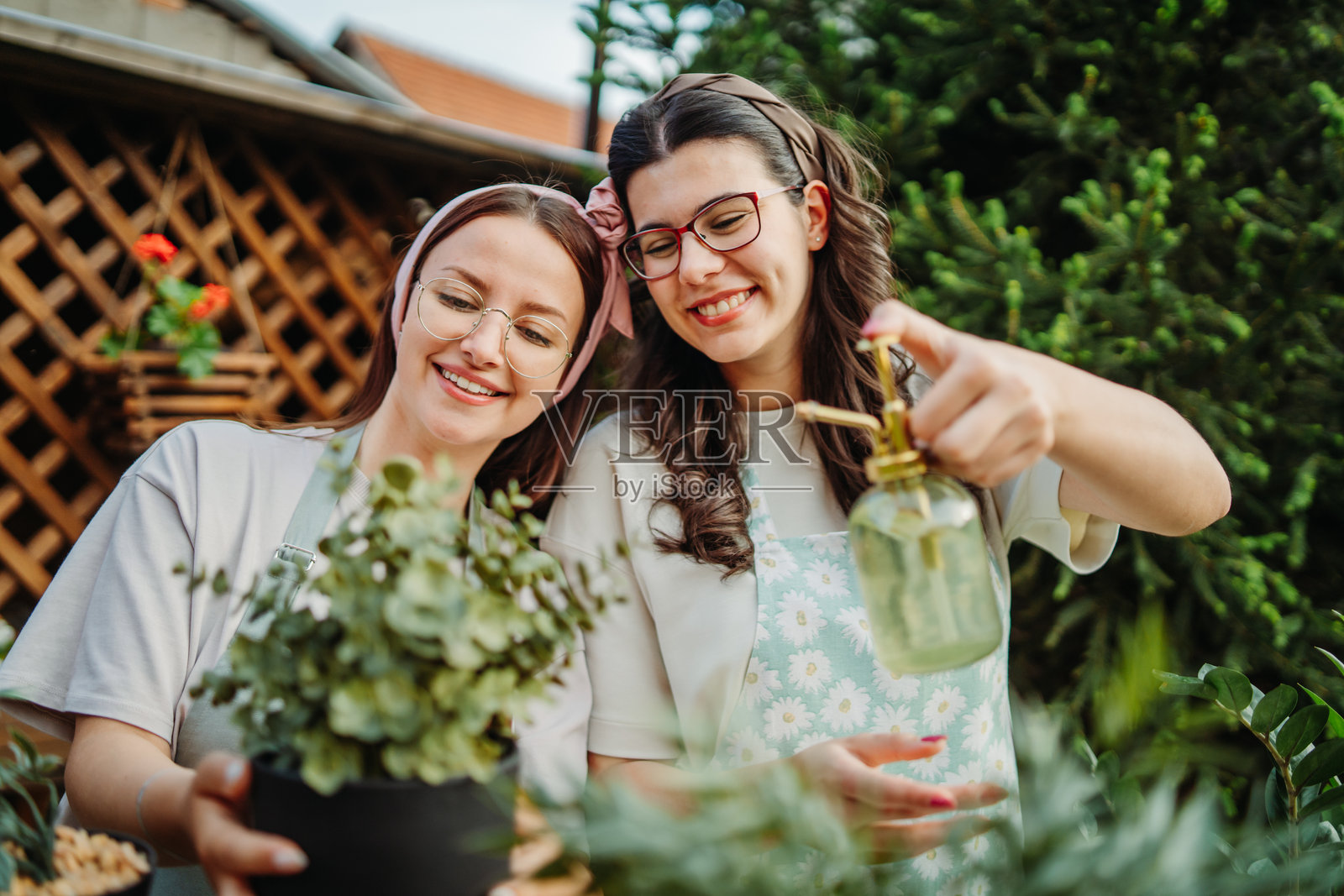 两个女性朋友正在用浇水壶和喷雾器照顾植物照片摄影图片