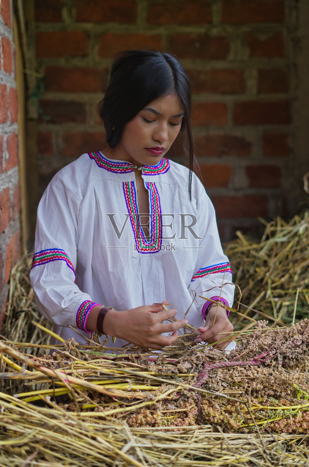 年轻女性参与传统收割活动照片摄影图片