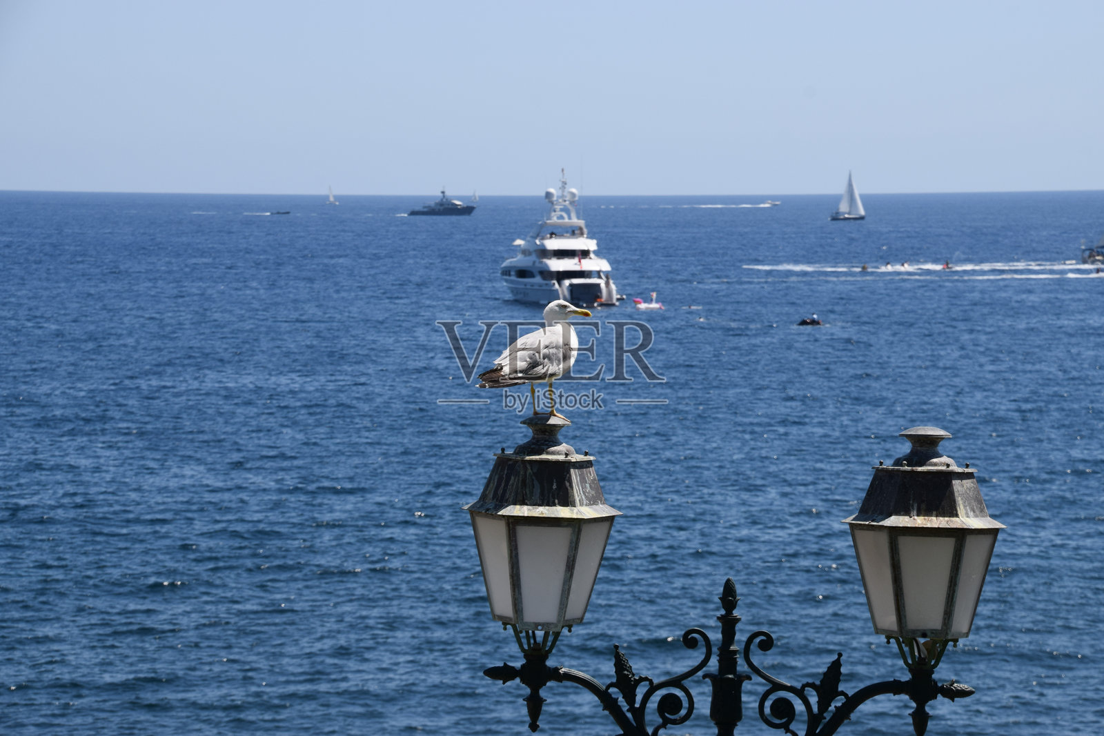 一只海鸥栖息在法国南部的海边路灯上照片摄影图片