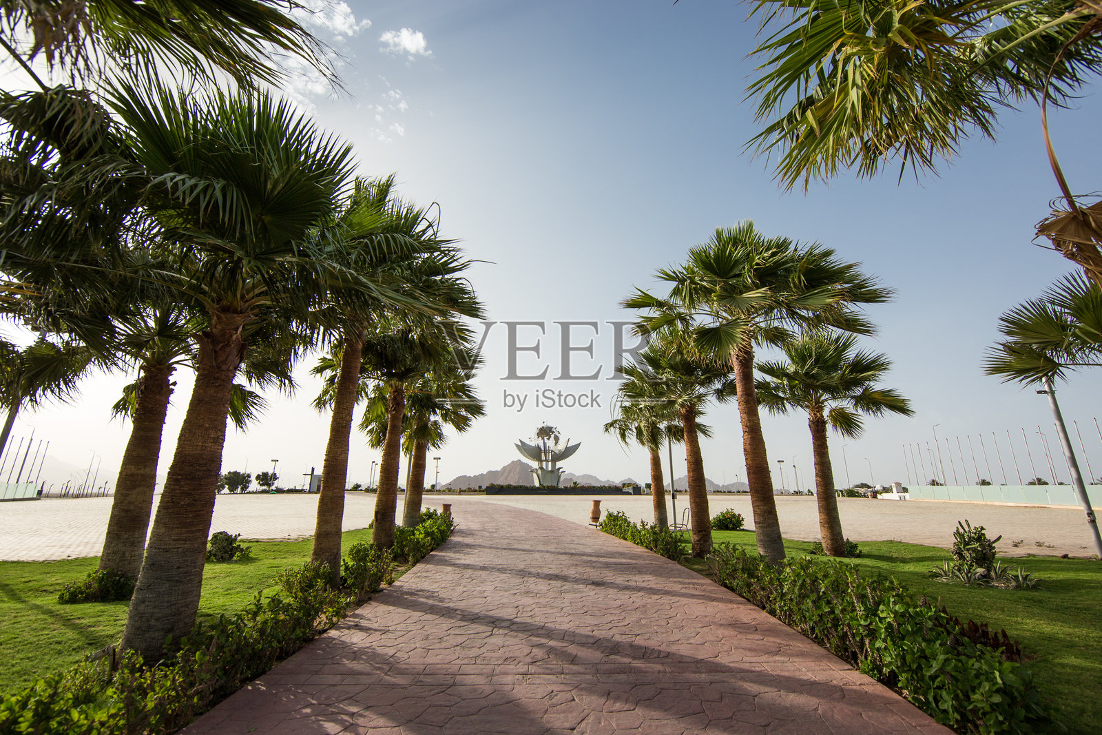阳光明媚的日子里，通往和平广场和平标志纪念碑的棕榈树步道照片摄影图片