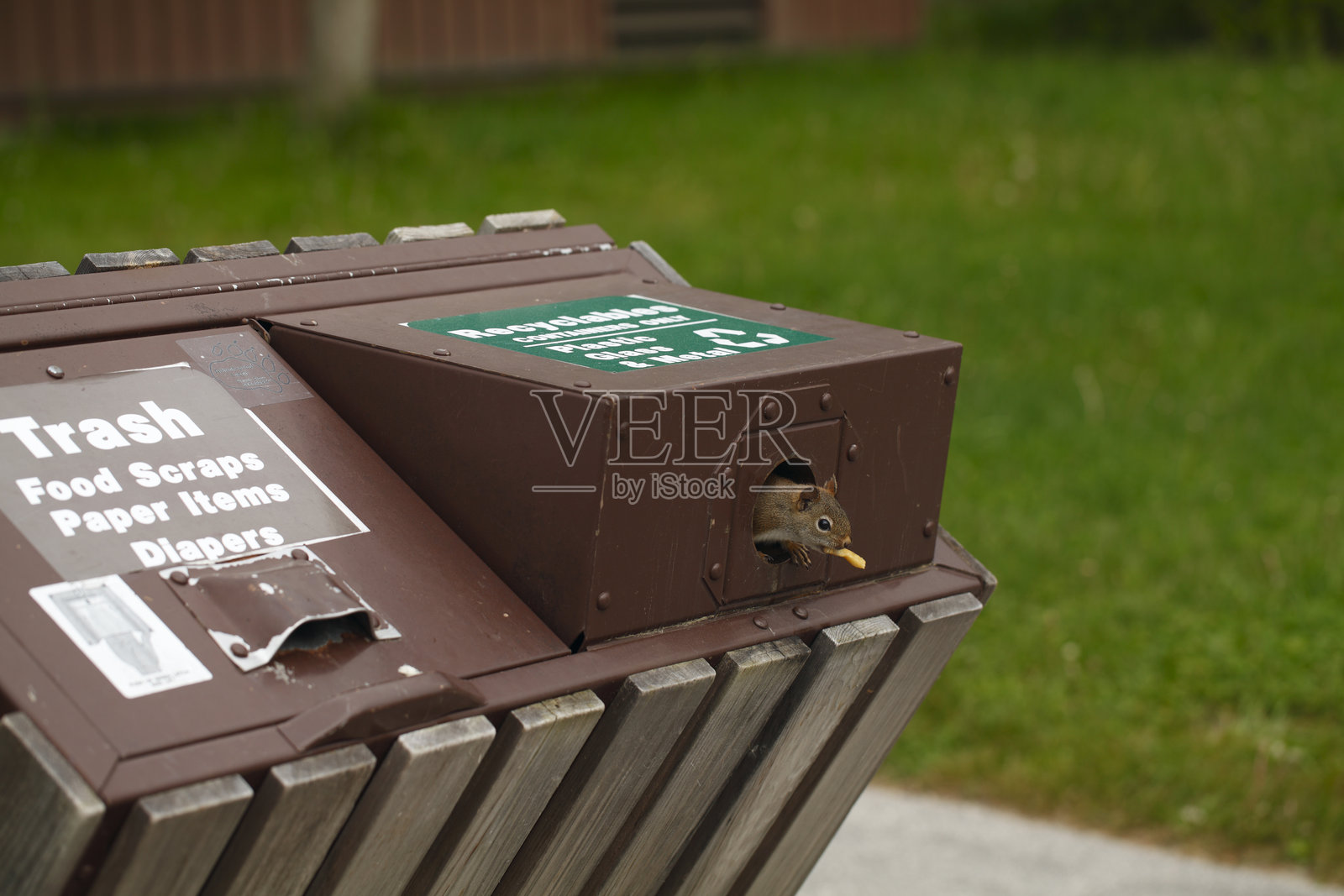 人类对野生动物的影响照片摄影图片