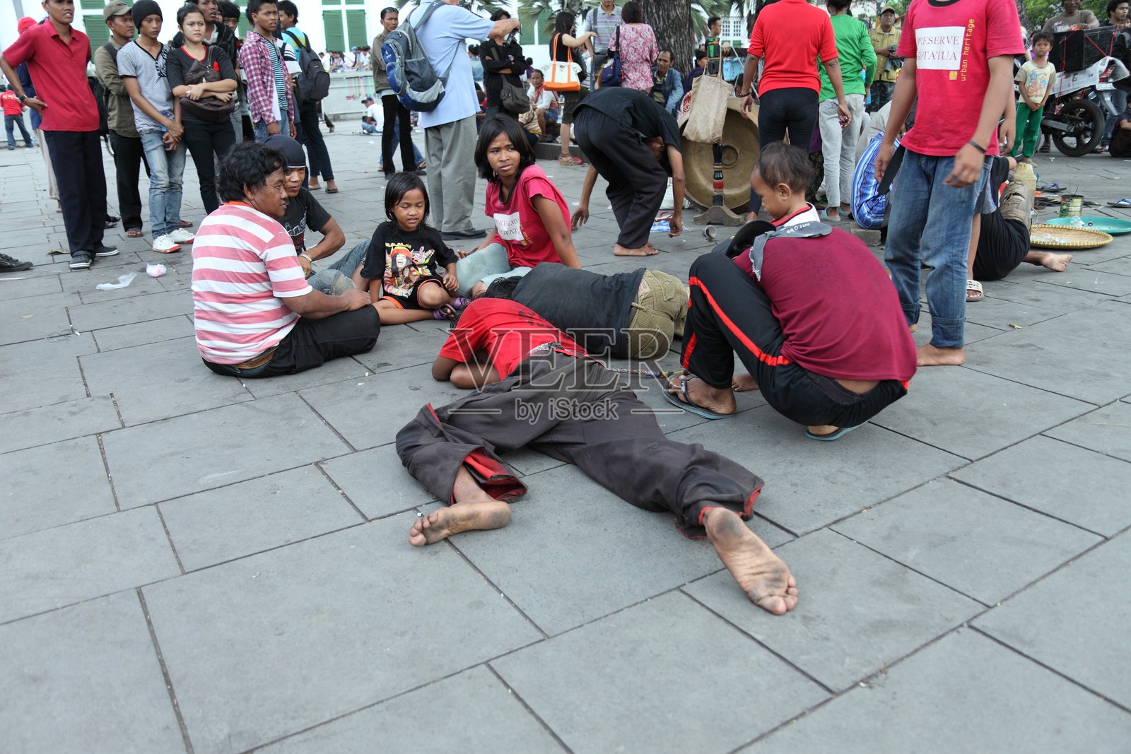 马匹聚集照片摄影图片