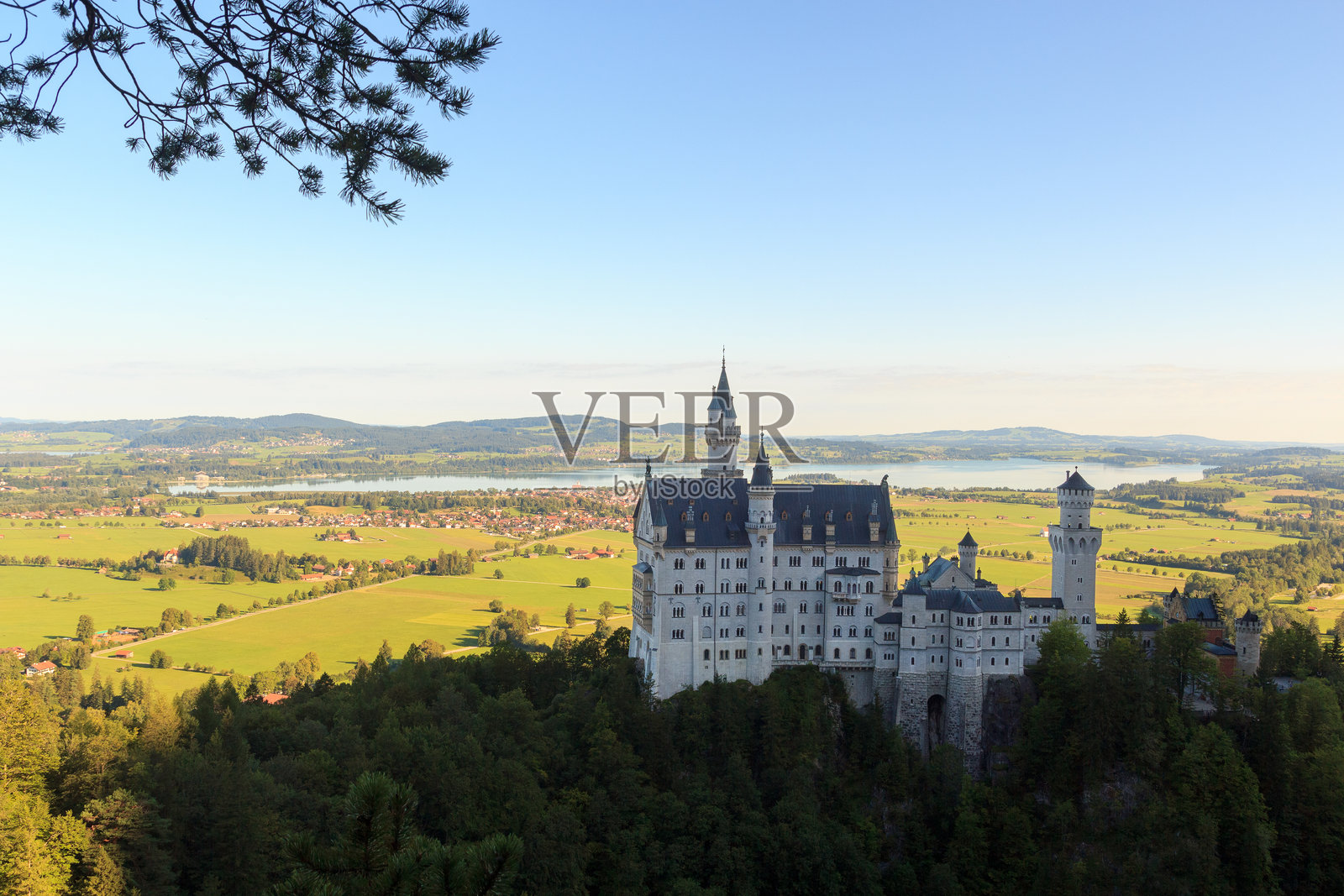 德国福根湖背景下的新天鹅堡全景照片摄影图片