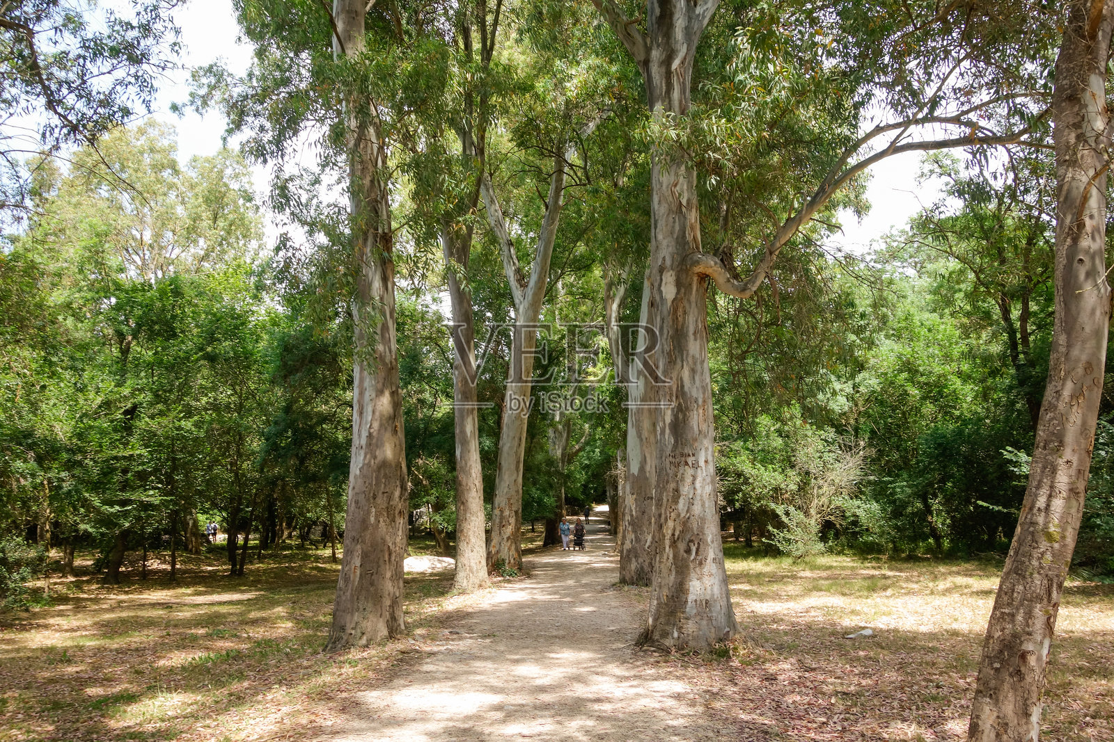 布特林特考古遗址，古希腊城邦及后来的罗马城市。联合国教科文组织世界遗产地照片摄影图片