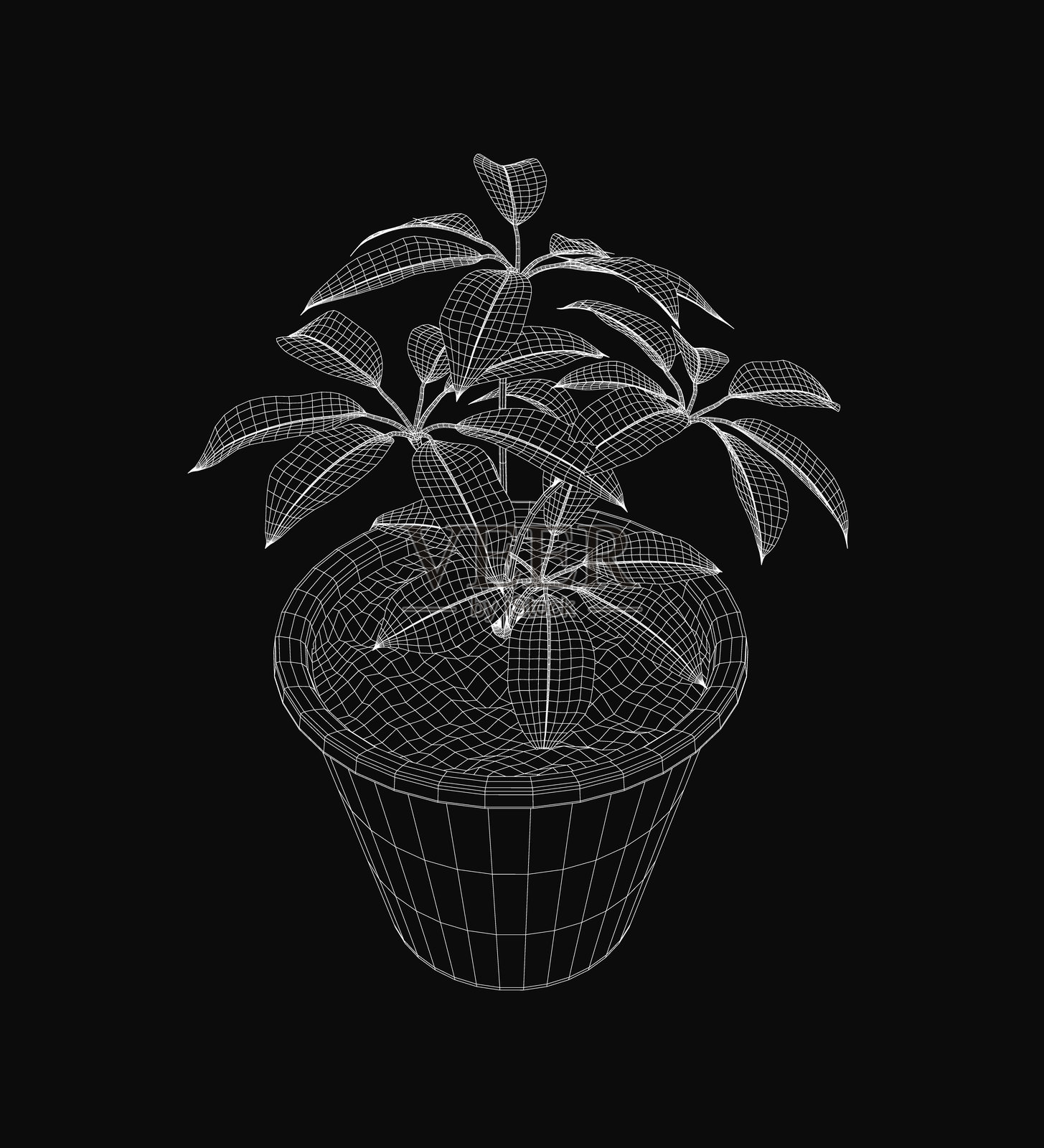 一个具有真实纹理和线框细节的3D盆栽植物模型在黑色背景下显得格外突出。中性色的花盆与生机勃勃的叶子相得益彰。插画图片素材