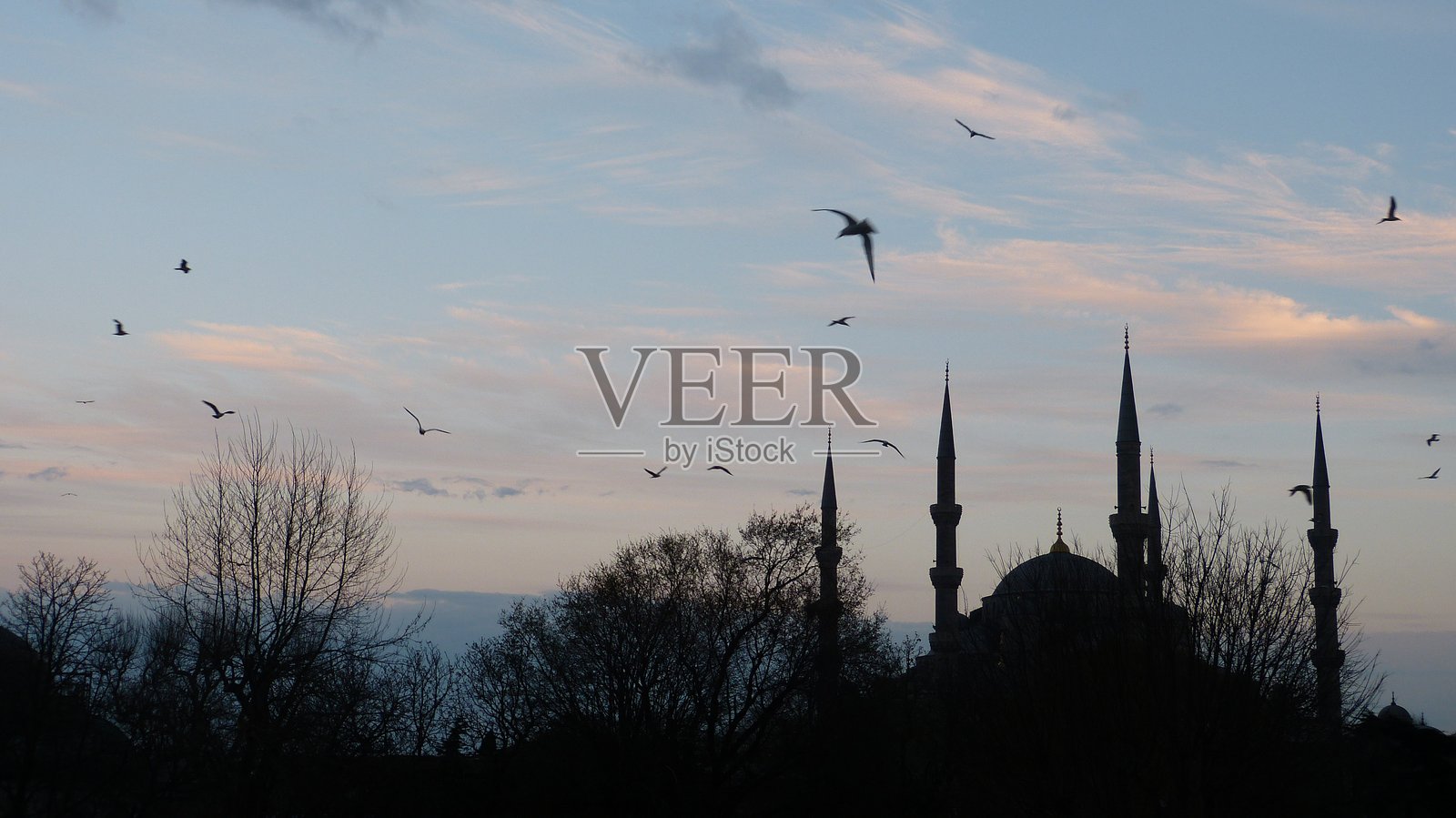 蓝色清真寺照片摄影图片