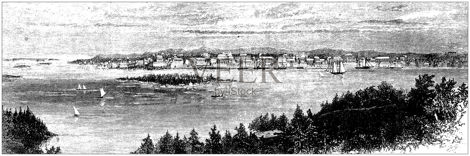 百慕大，汉密尔顿插画图片素材