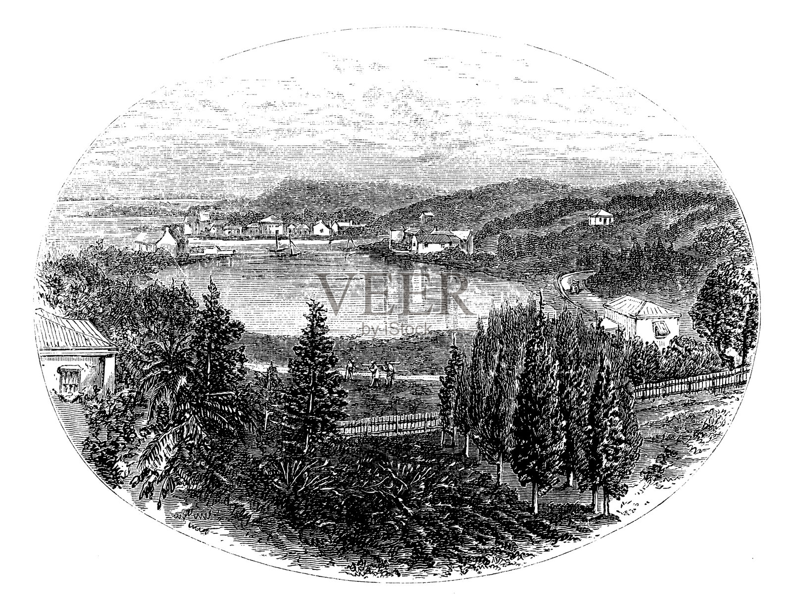 百慕大，皮特湾插画图片素材