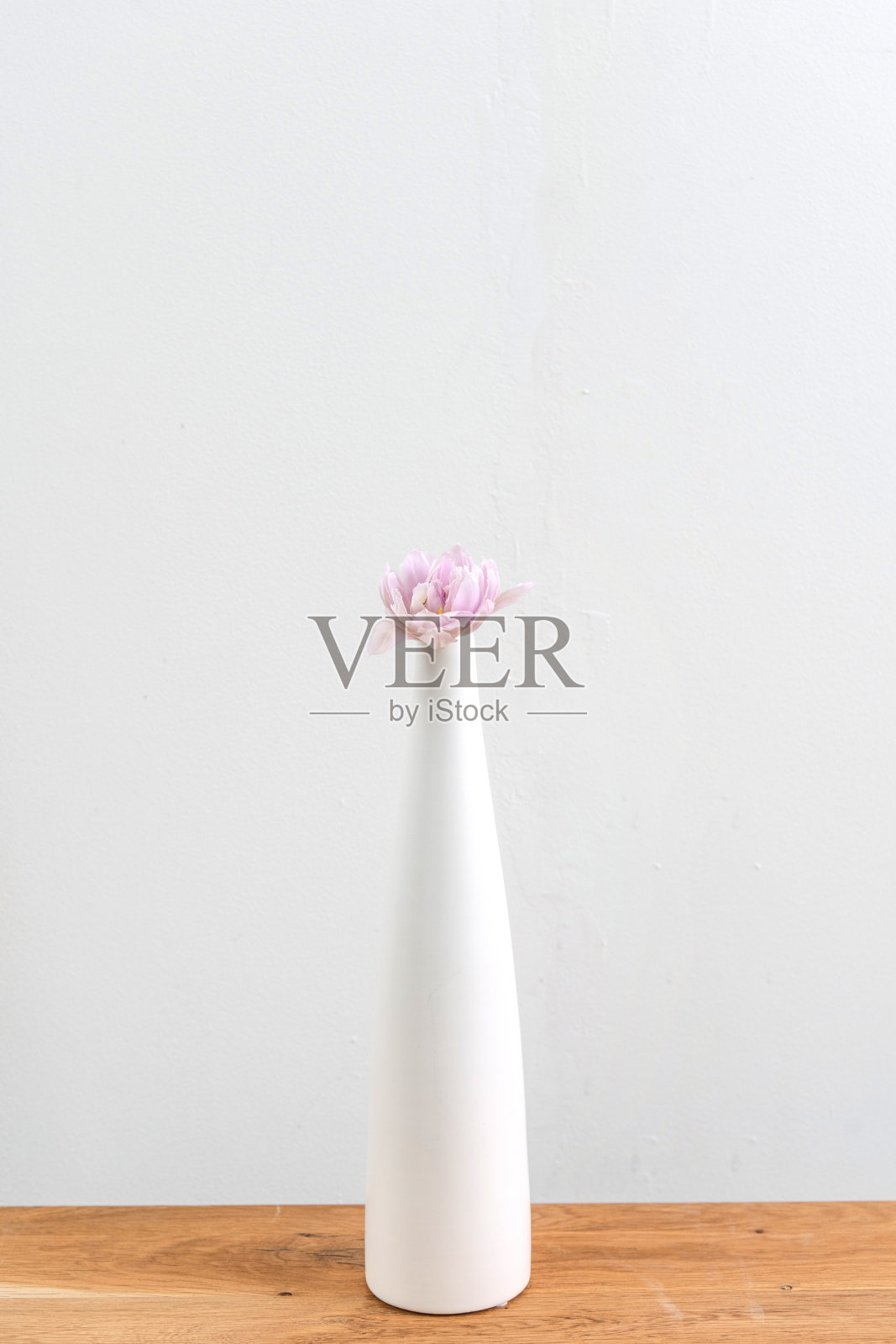 花瓶里的莉莉·郁金香照片摄影图片