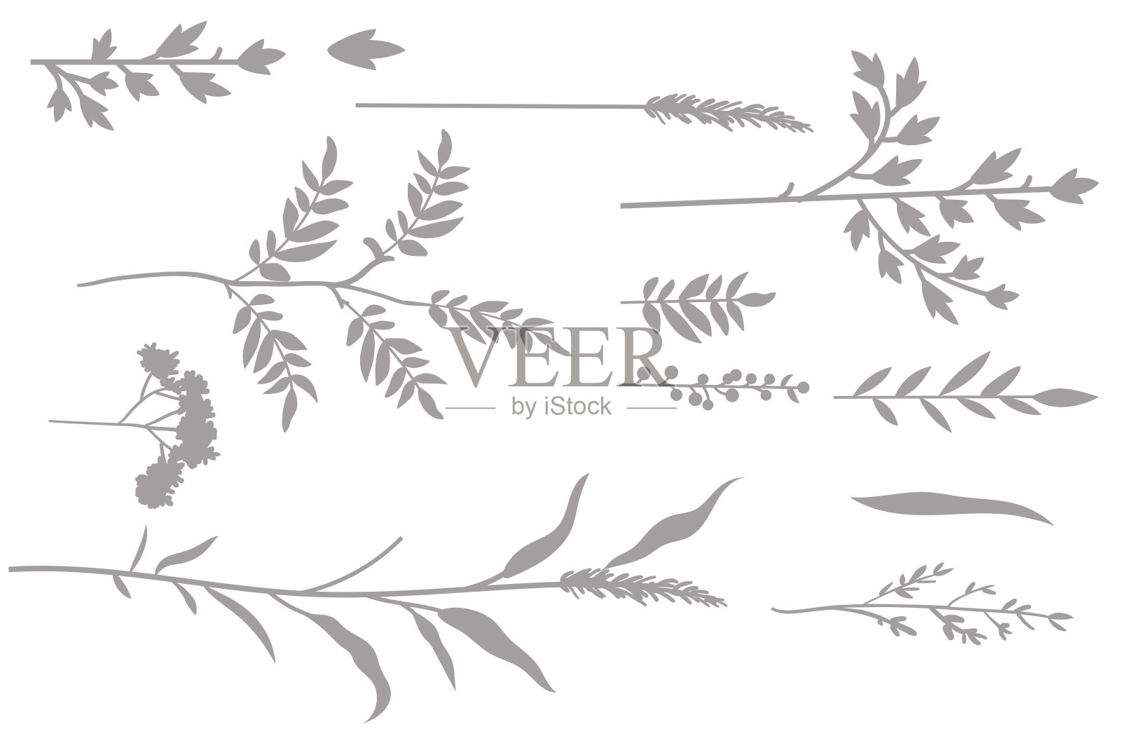 植物插图：用于绘制树枝、花朵和草药的矢量画笔插画图片素材