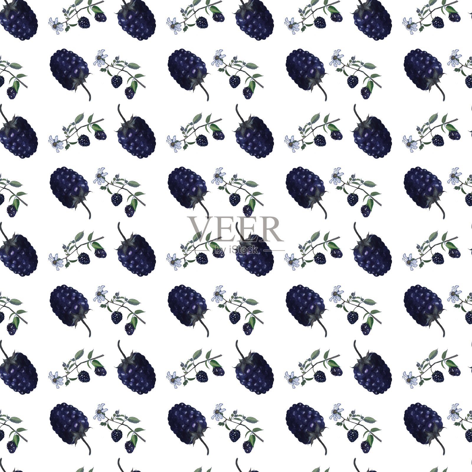 黑莓无缝图案插画图片素材