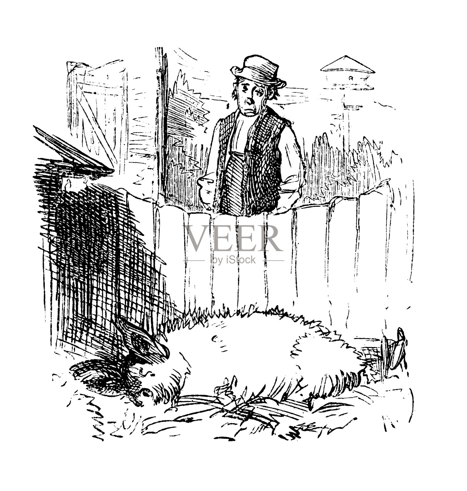 猪插画图片素材