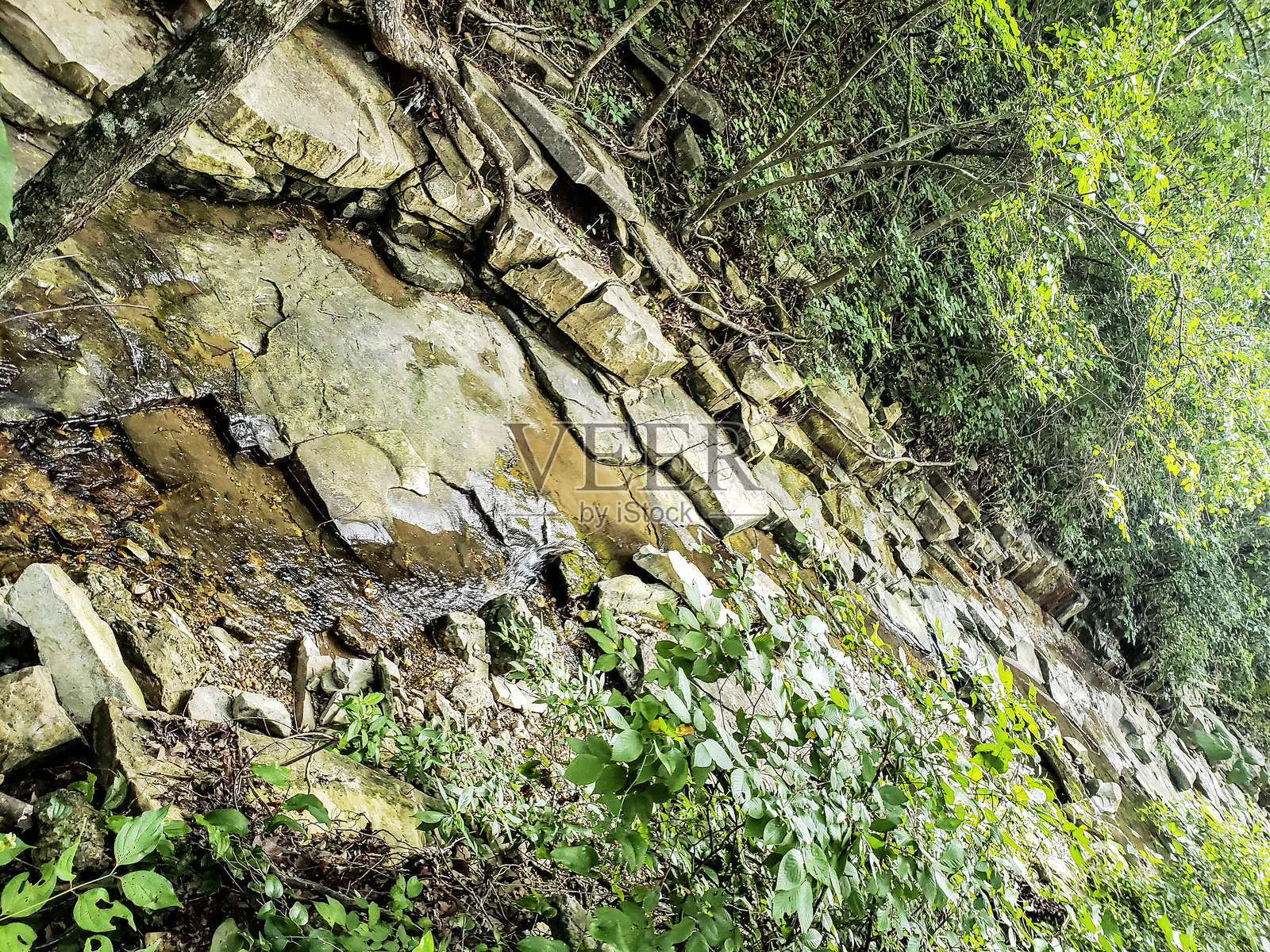 密苏里州布兰森的罗阿克溪支流照片摄影图片