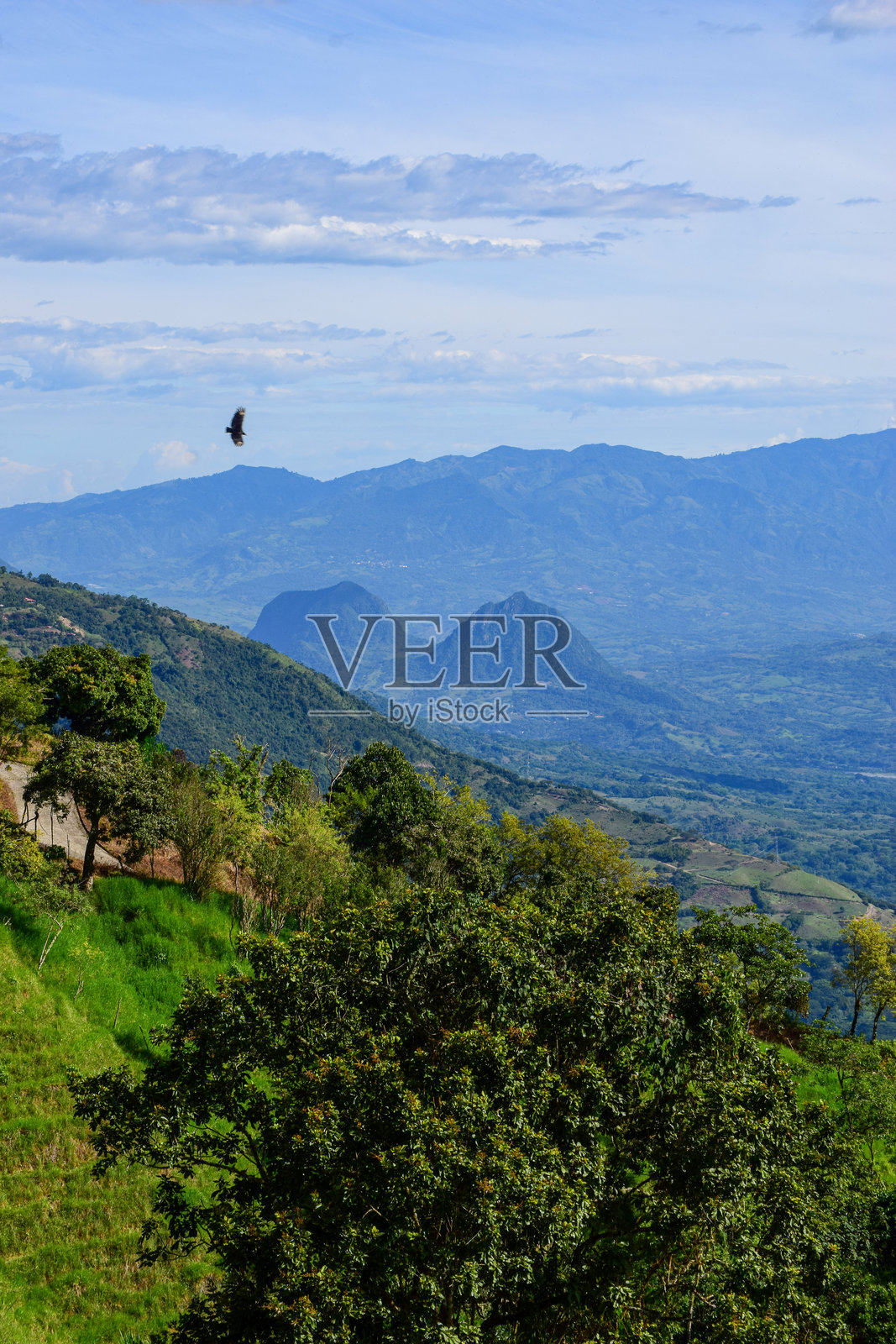 拉平塔达的法拉隆斯风景如画，位于南美洲哥伦比亚安第斯山脉的安提奥基亚西南部咖啡产区，标志性的岩石形成。照片摄影图片