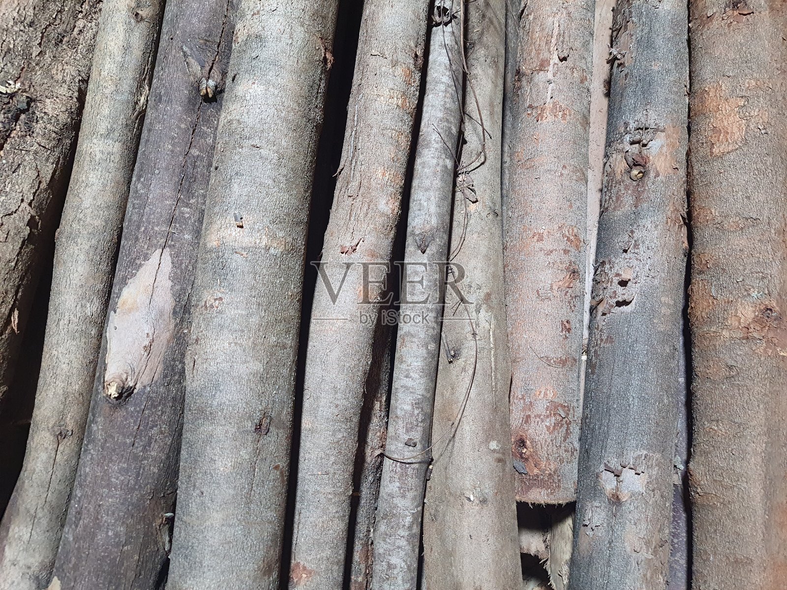 堆叠的木材。照片摄影图片