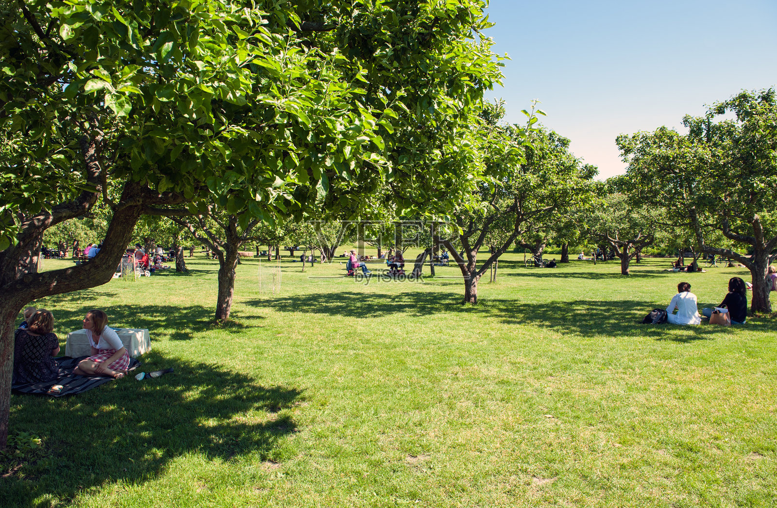 在瑞典喝咖啡的最佳地点照片摄影图片