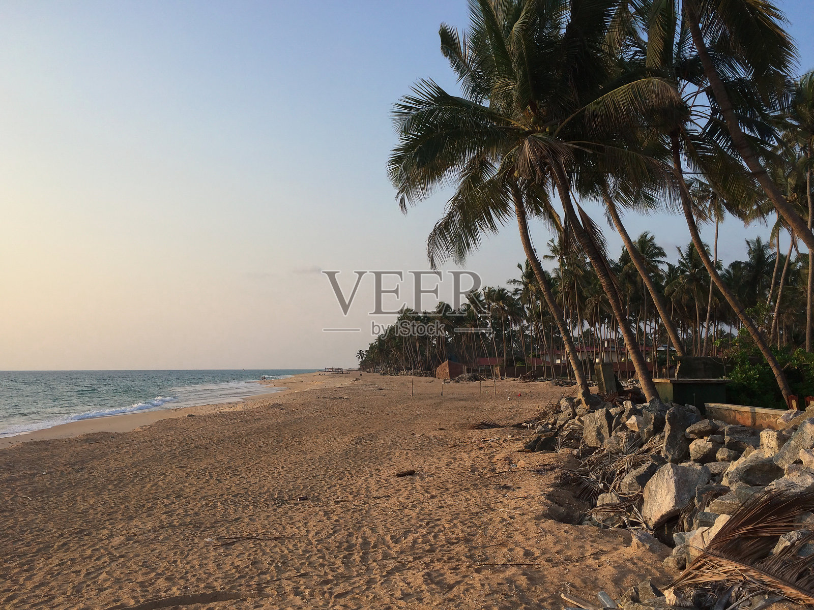 空旷的沙滩上，倾斜的棕榈树和温柔的海浪在日落时分，斯里兰卡普塔拉姆区。照片摄影图片