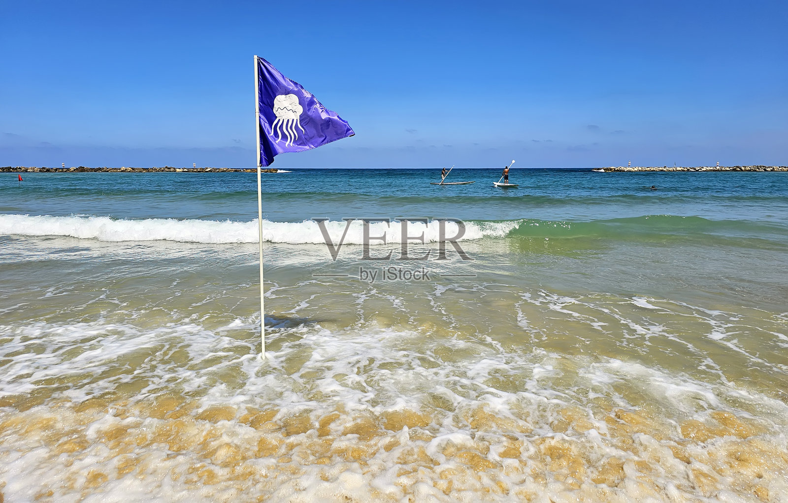 海洋中水母出现的警告旗帜照片摄影图片