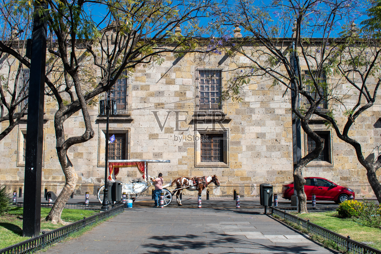 马车停在林荫大道旁的殖民风格石建筑前照片摄影图片