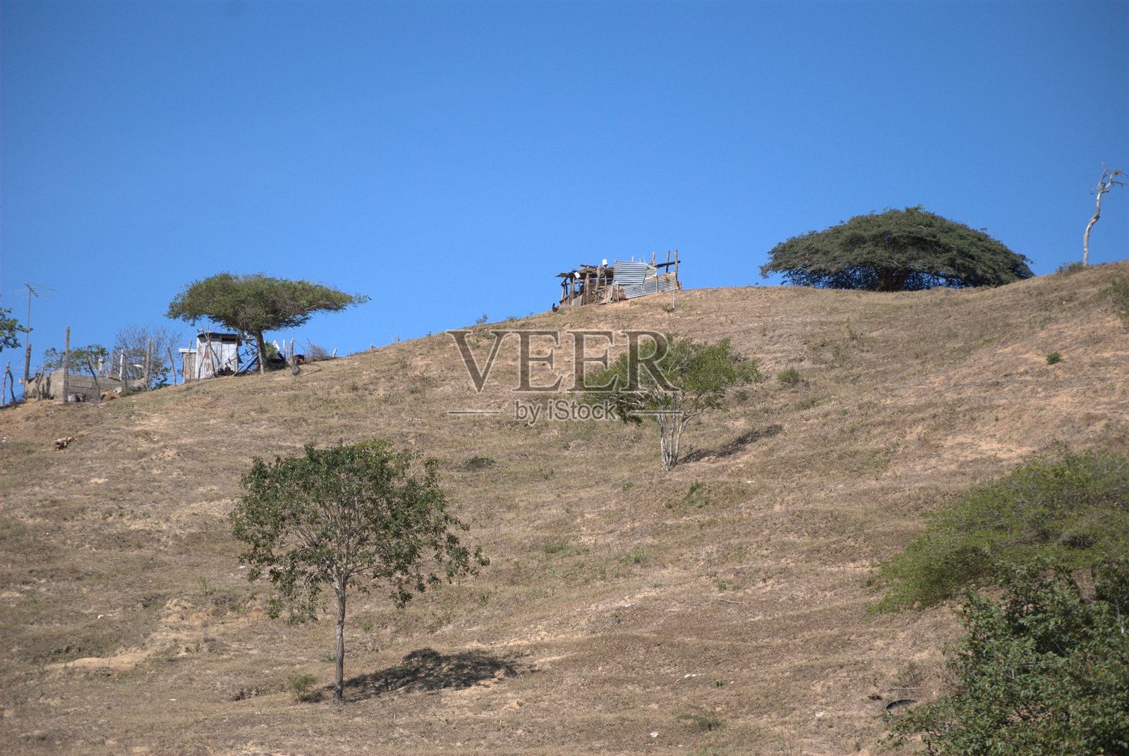 委内瑞拉是一个绿色的国家。照片摄影图片