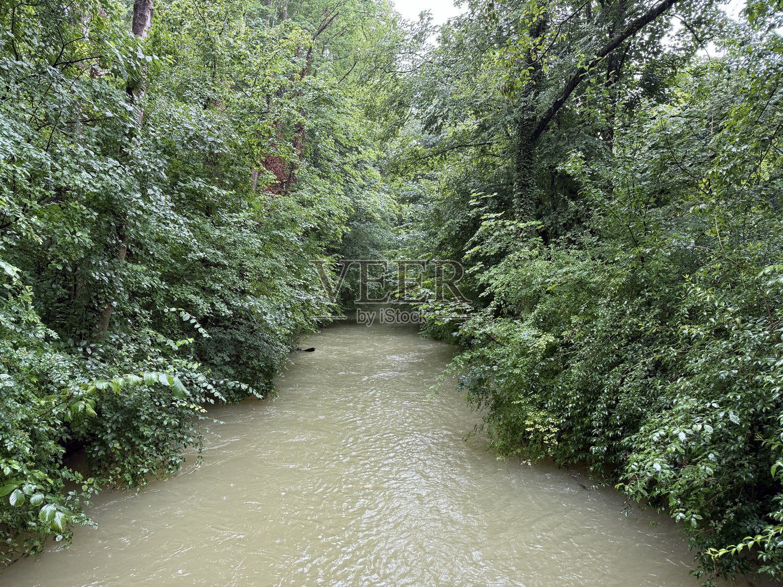 洪水照片摄影图片