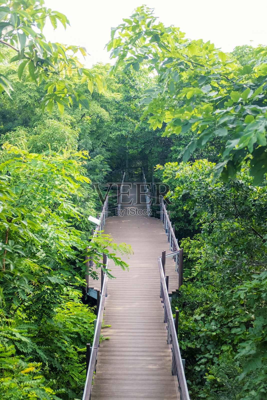 公园里的锻炼小径照片摄影图片
