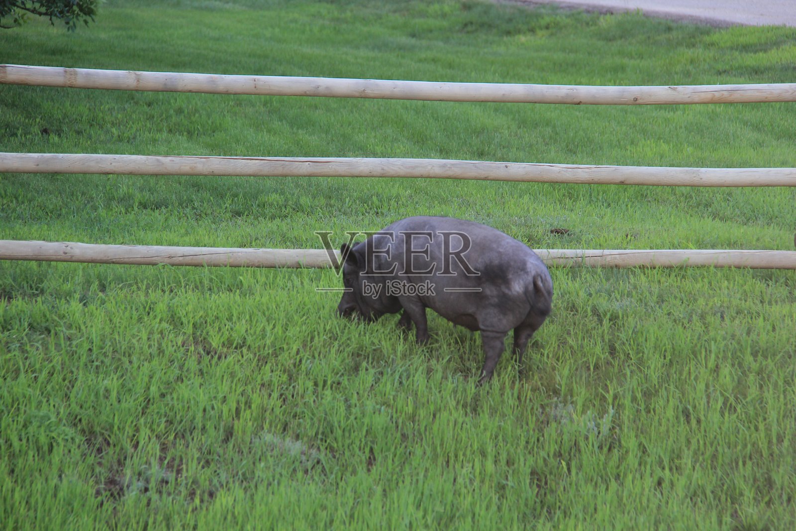 萨斯喀彻温省我所在地区的山谷景观。照片摄影图片