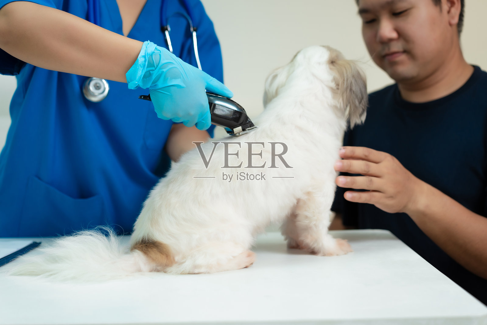 一位中年亚洲男性带着他的狗来到兽医诊所，一位女性亚洲兽医在桌子上为狗进行身体检查，用听诊器听心脏和肺部。照片摄影图片