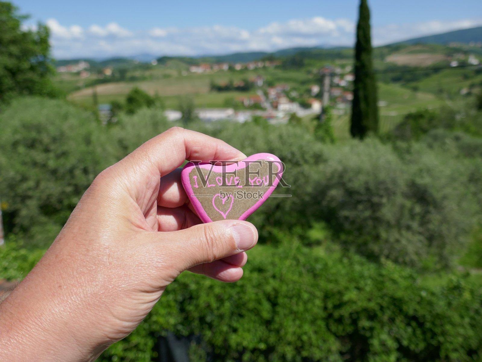 手握“我爱你”心形石头，背景是葡萄园照片摄影图片