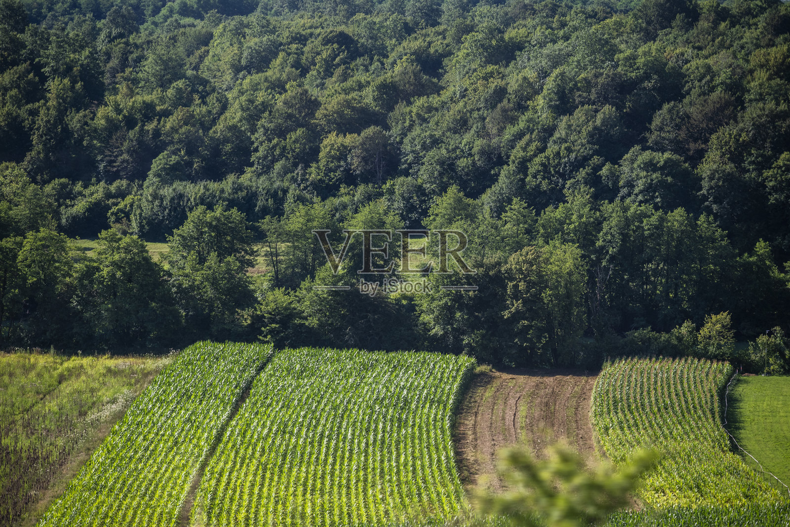 克罗地亚大陆的风景照片摄影图片