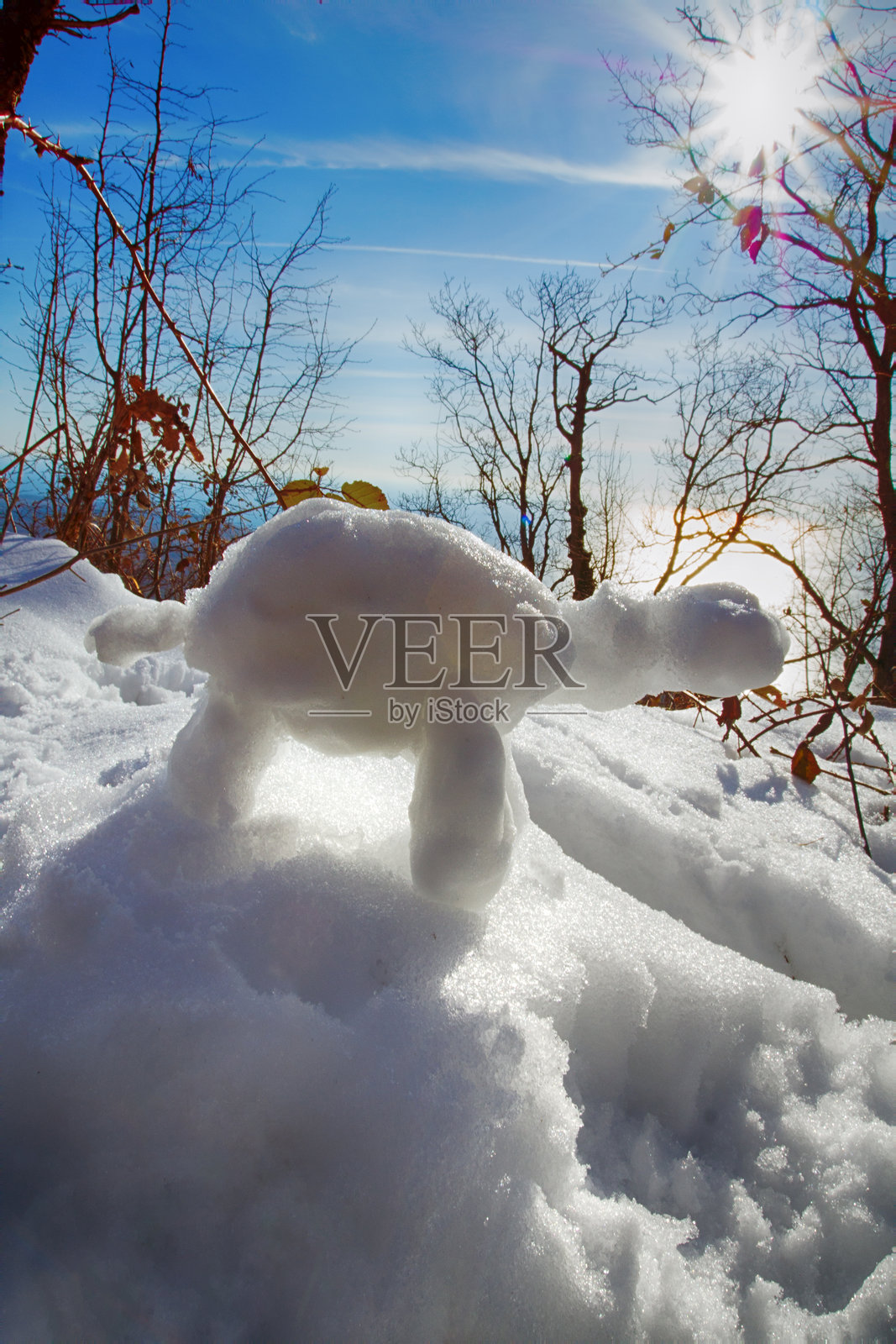 有趣的雪人乌龟在阳光下照片摄影图片