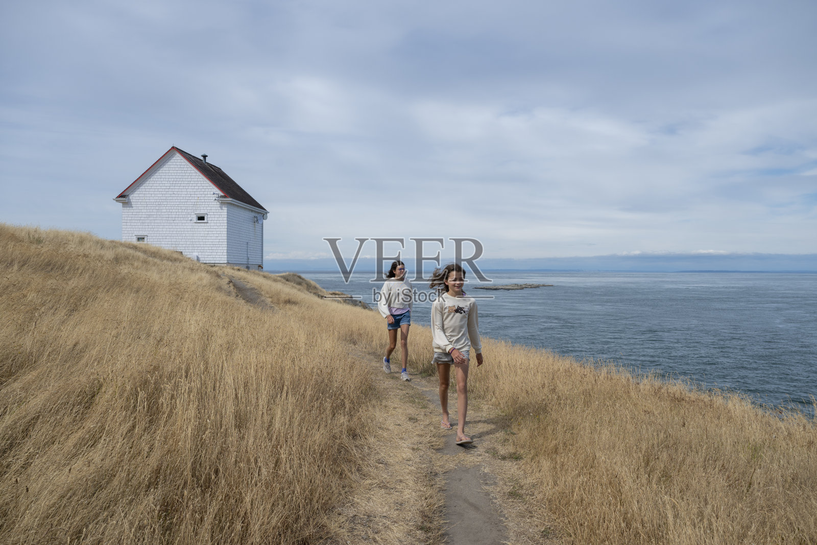 姐妹们在海洋上方的草坡上探险，海湾群岛照片摄影图片