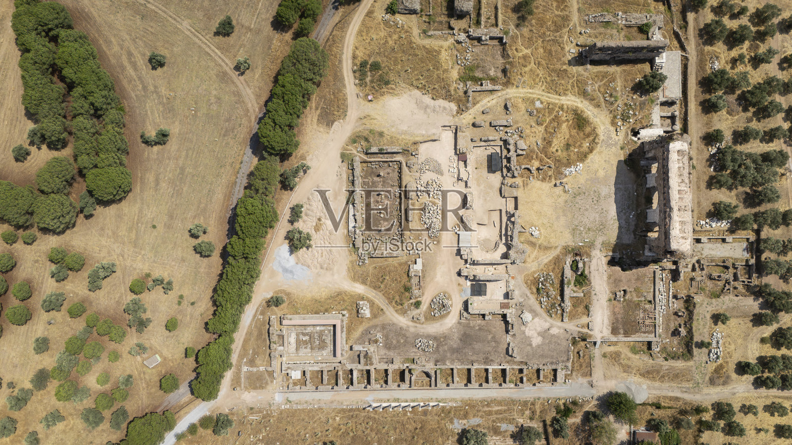 土耳其艾登的特拉利斯古遗址，背景是山脉和橄榄树照片摄影图片