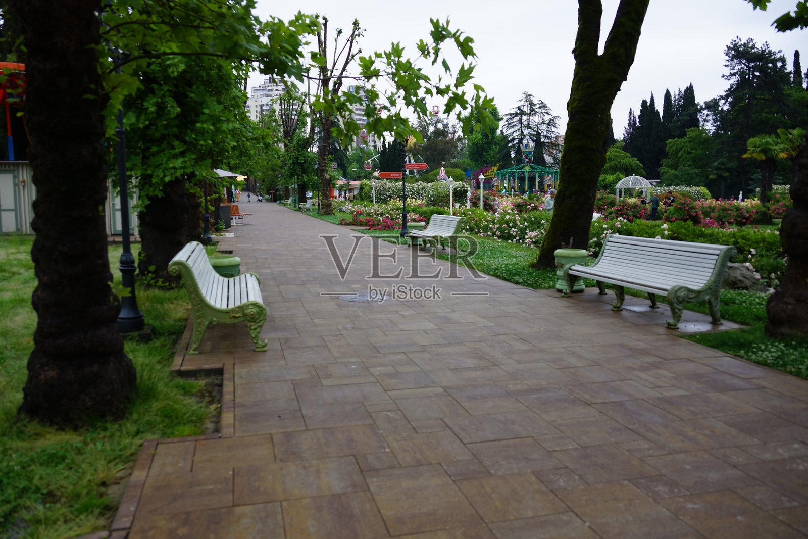 街道建筑城市公园景点绿地的景观照片摄影图片