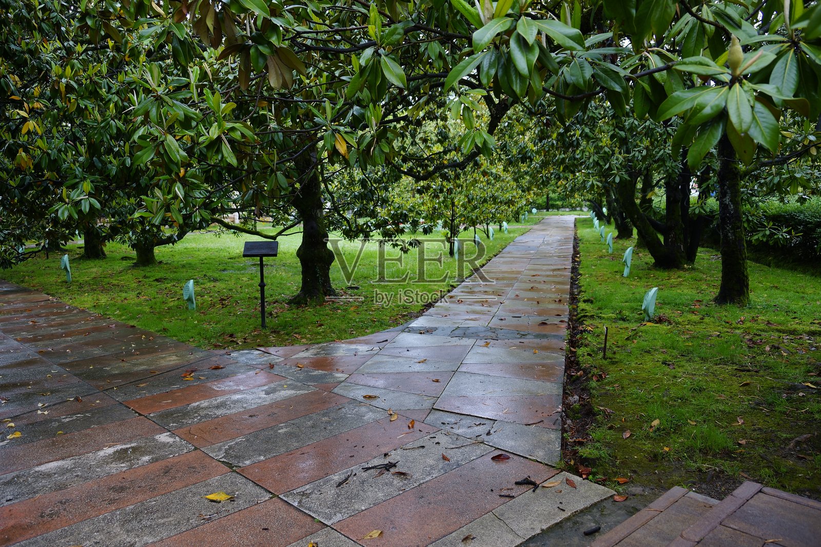 街道建筑城市公园景点绿地的景观照片摄影图片