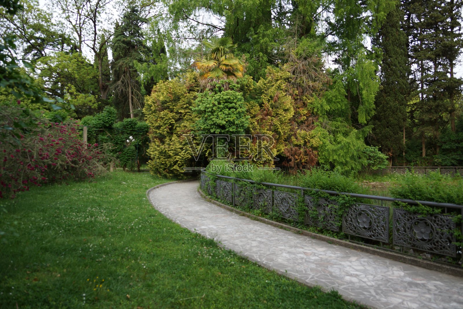 城市公园景点的街道建筑景观与绿地照片摄影图片