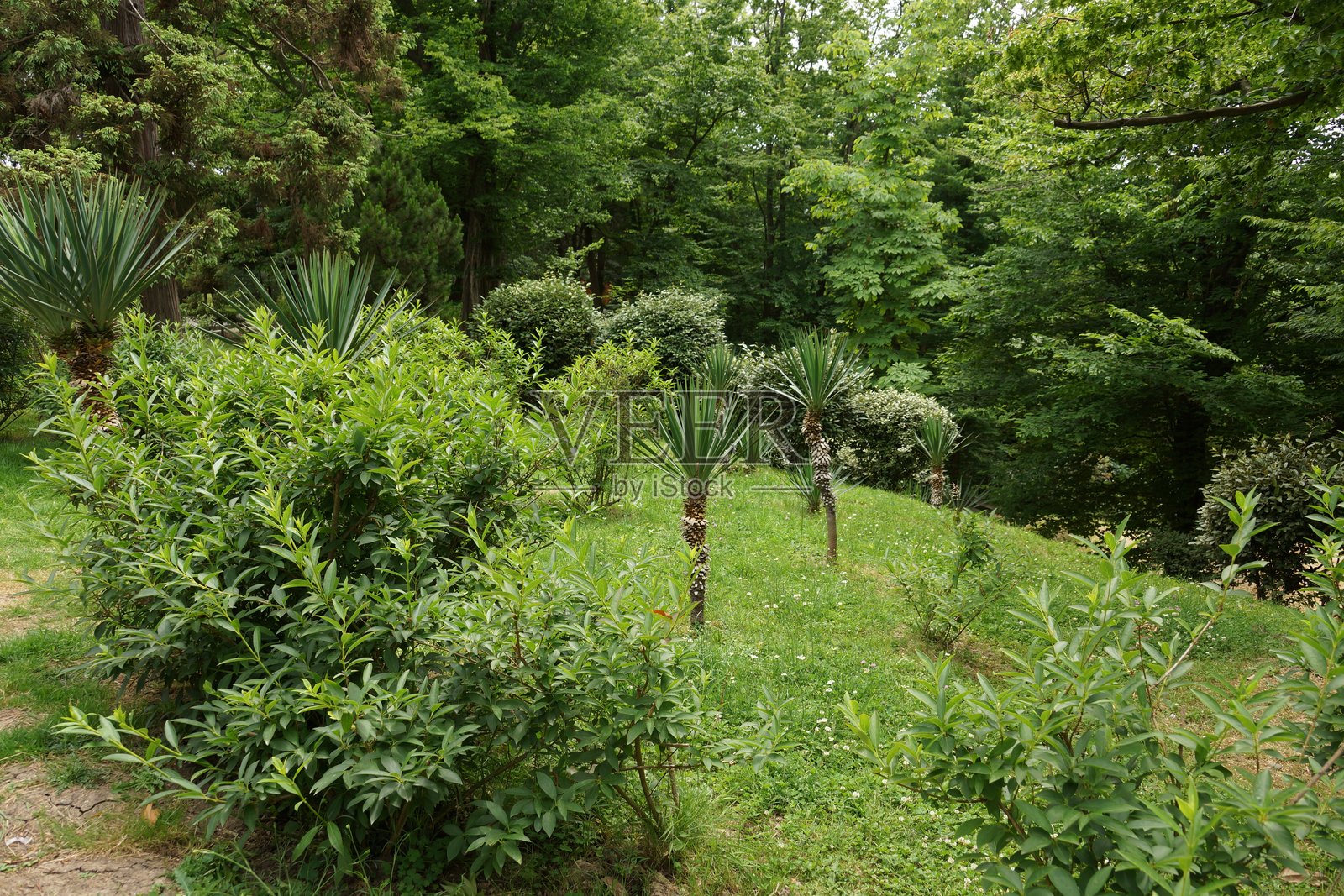 街道建筑城市公园景点绿地的景观照片摄影图片