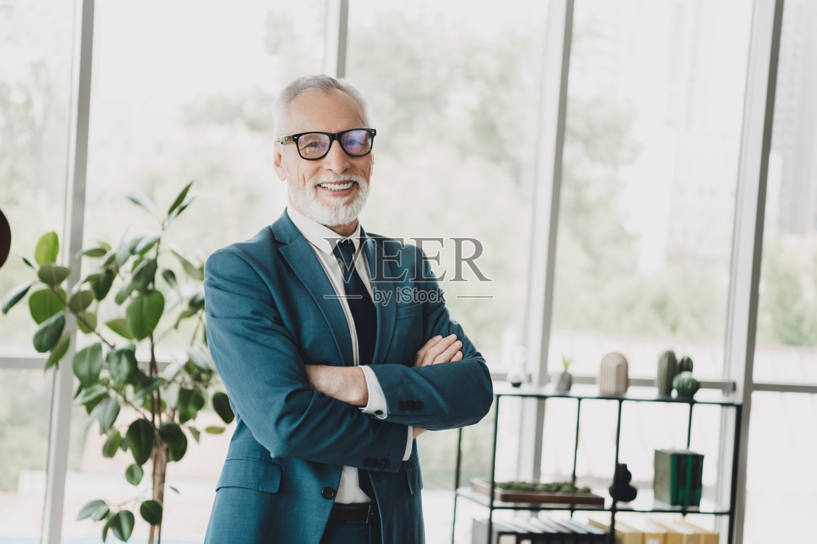 成功的高级商人在现代办公室的绿意环境中自信地微笑，身穿正式西装。照片摄影图片