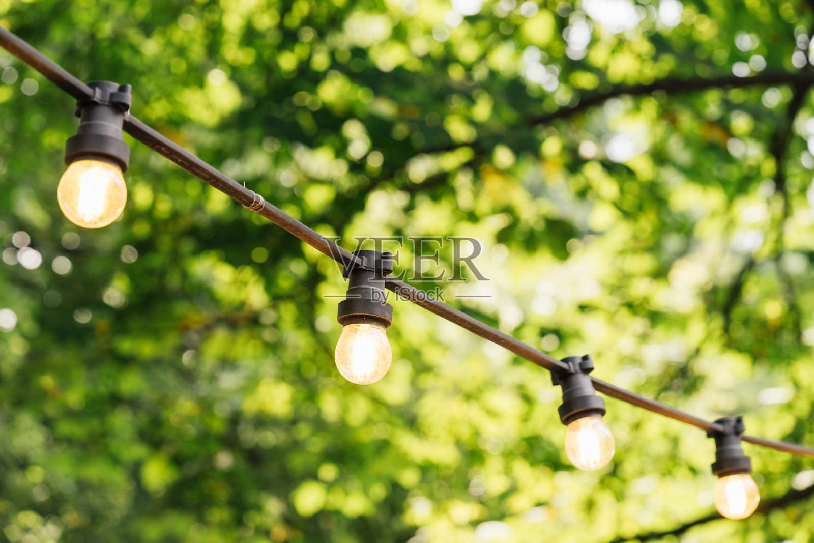 发光的串灯特写，夏季花园街道装饰，背景模糊的绿色树木照片摄影图片