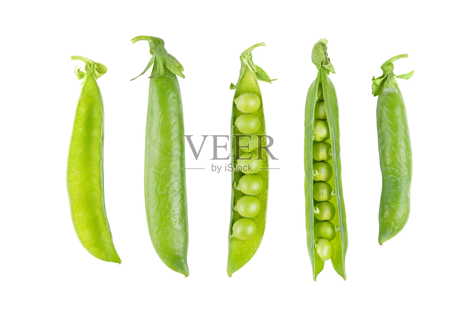 一组开放的豌豆荚，里面装有绿色豌豆，孤立在白色背景上，健康的蔬菜食品照片摄影图片