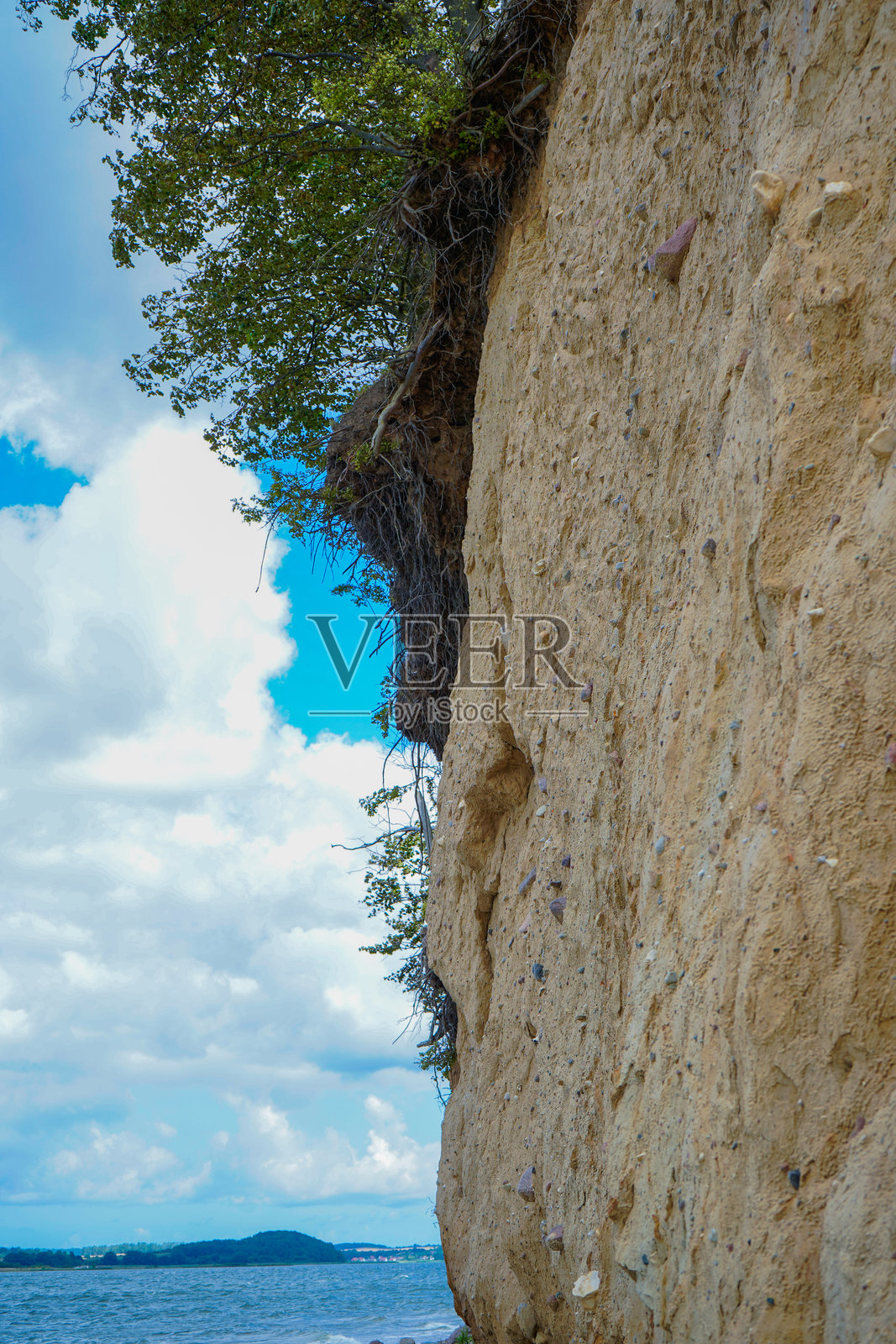 悬崖景观，树木和露出的树根映衬着多云的天空。波罗的海悬崖，德国吕根岛，18586 Mönchgut，Reddevitzer Höft。照片摄影图片
