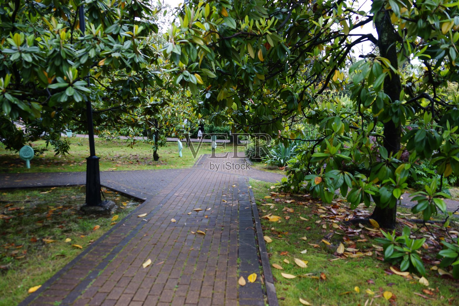 城市公园景点的街道建筑景观与绿地照片摄影图片