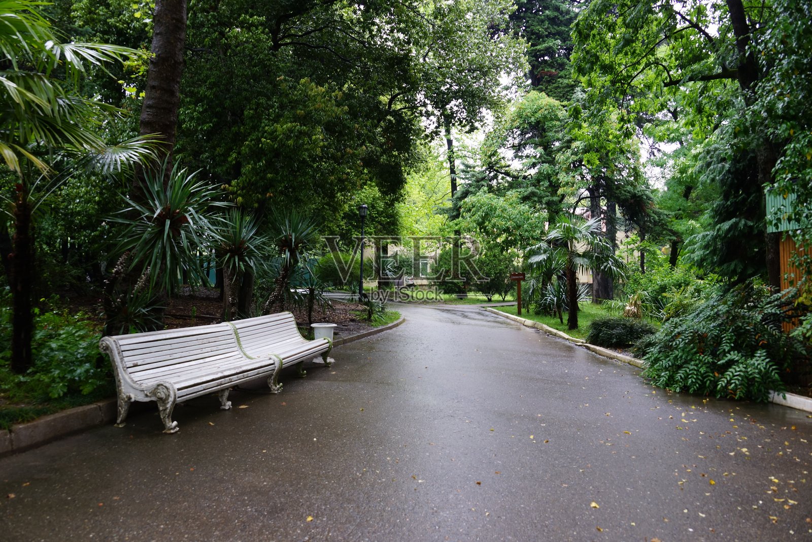 城市公园景点的街道建筑景观与绿地照片摄影图片