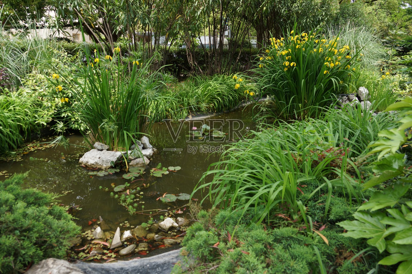 城市公园景点的街道建筑景观与绿地照片摄影图片