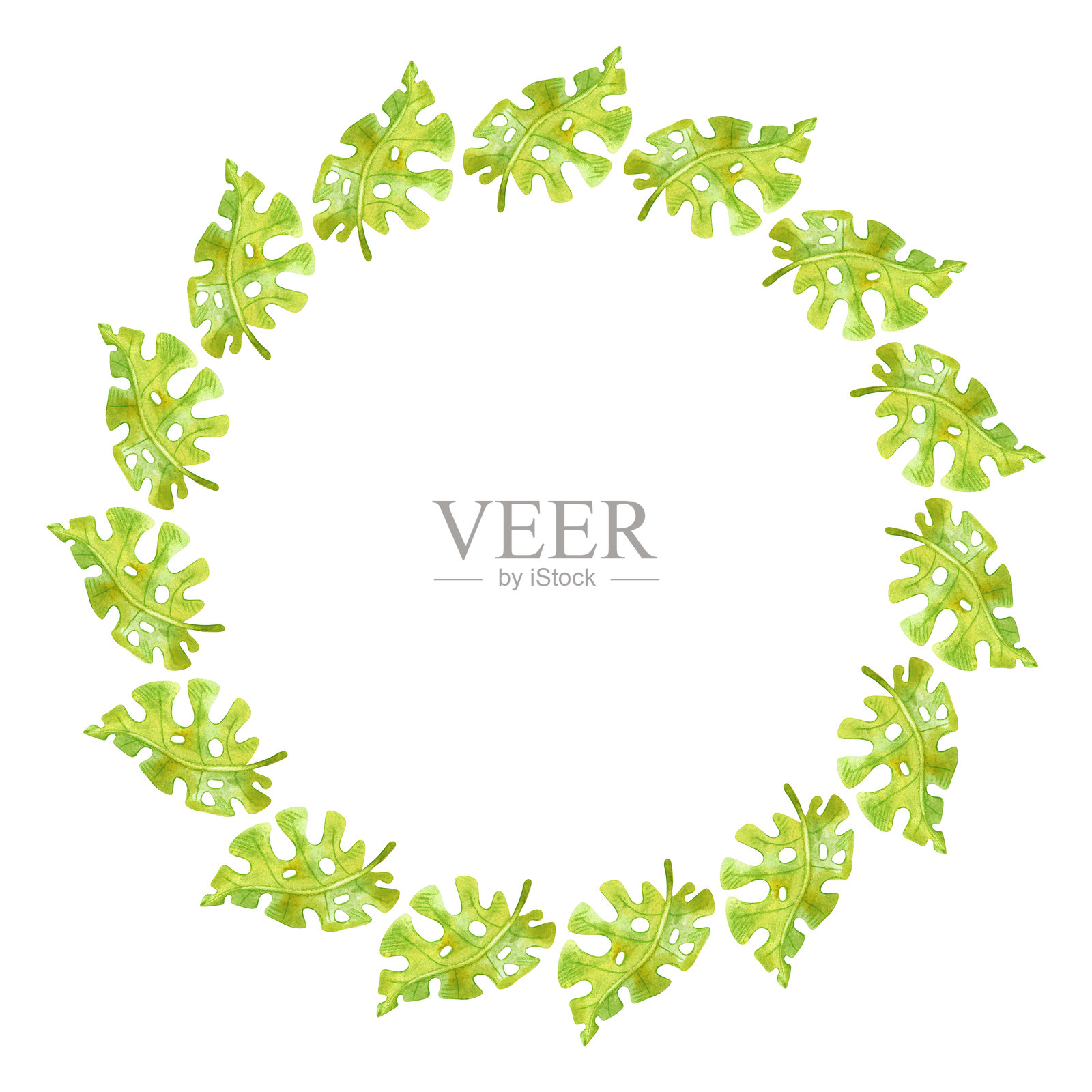 圆形夏季框架，带有热带叶子。绿色植物的水彩插图插画图片素材