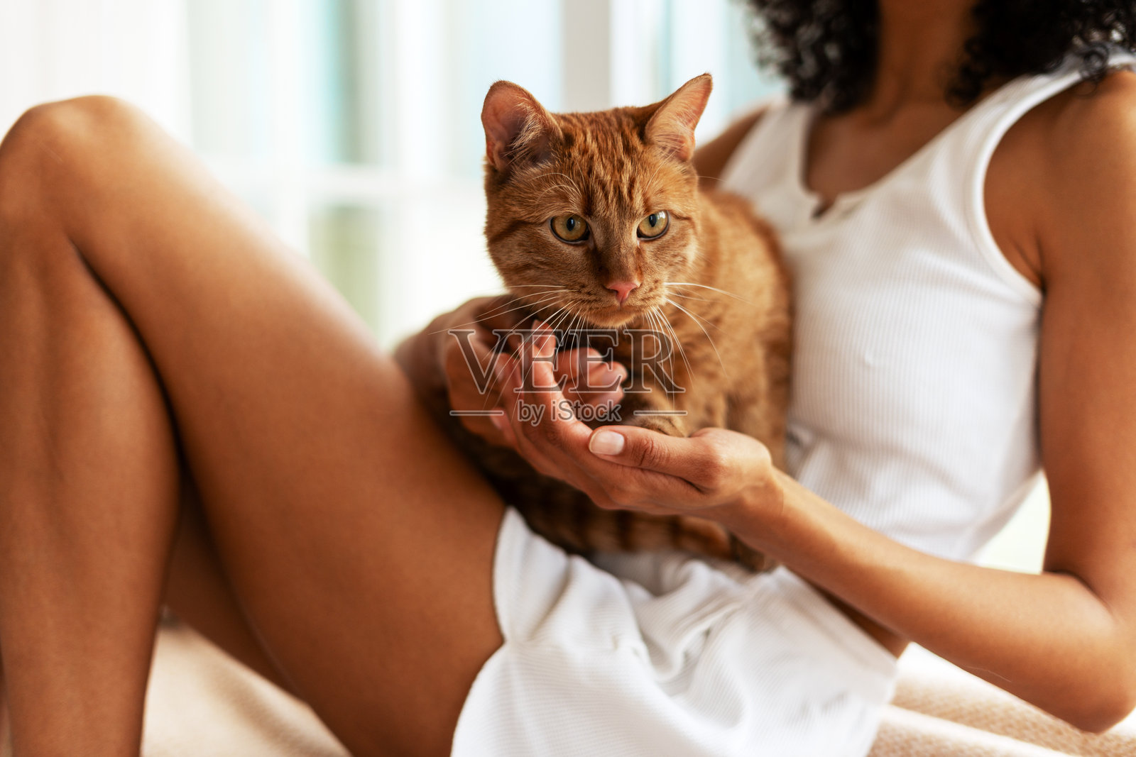 年轻女性在家与她的猫放松休息照片摄影图片