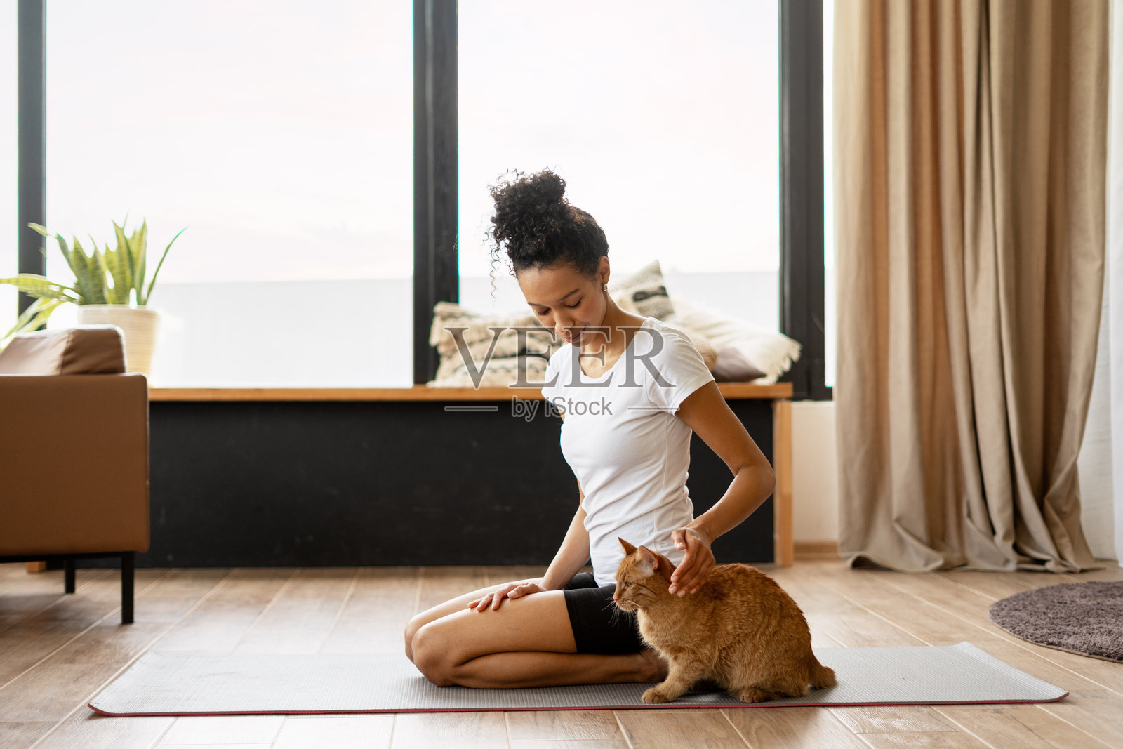 年轻女性在客厅与她的姜色猫一起练习瑜伽照片摄影图片